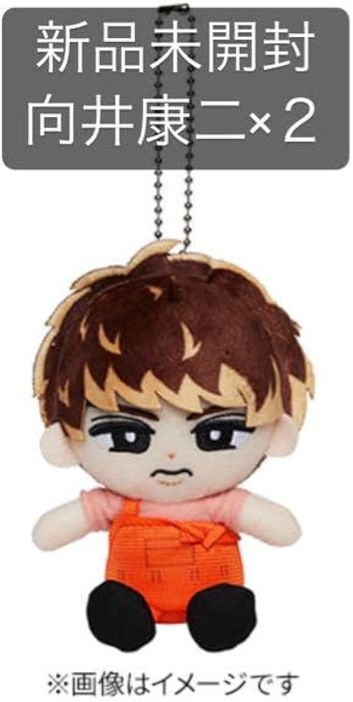 Amazon.co.jp: すのチルぶら下がりシリーズ（ぬいぐるみver.）向井康二