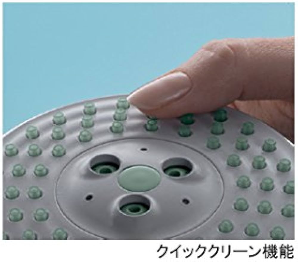 Amazon.co.jp: Hansgrohe(ハンスグローエ) 【シャワーヘッド