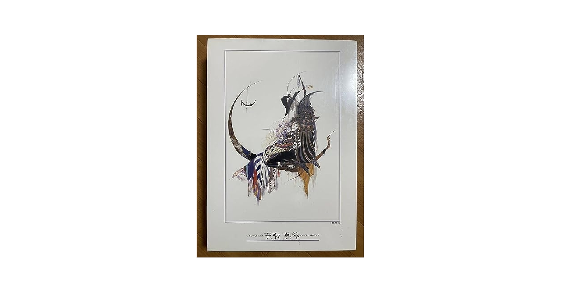 夢の中へ 天野喜孝ジグソーパズル 天野喜孝 ジグソーパズル 「夢の中へ