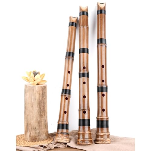 Amazon | Jinchuan 尺八 1尺8寸 D管 尺六 1尺6寸 E管 琴古流 高級管