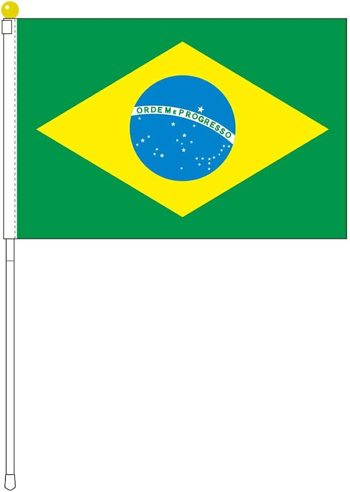 ○IZZO GOL パンデイロ 10インチ ブラジル製 国旗柄○ Amazon.com