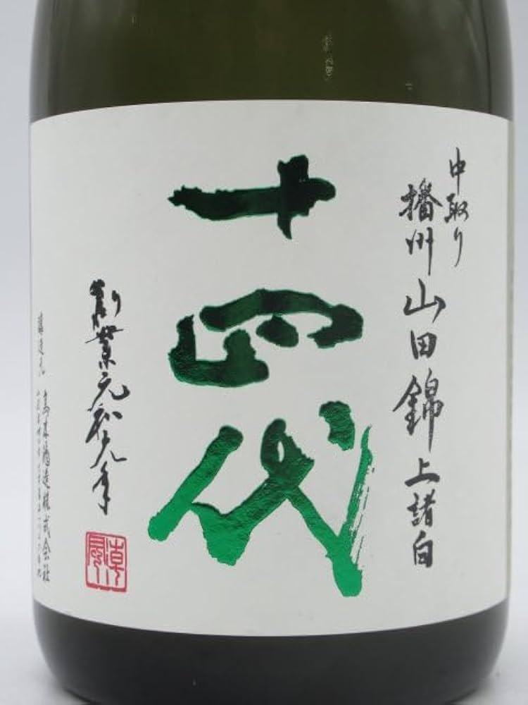 十四代 カワサキ（KAWASAKI）2009年 Ninja ZX-14のカタログ情報 | 沖縄の