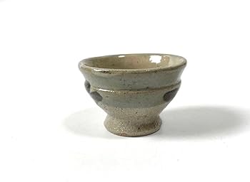 41vz5eliroL._AC_UF350,