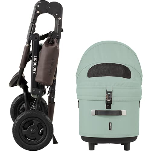 エアバギー グラスグリーンラージサイズカスタム済みアクセサリー付き