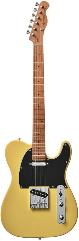 Bacchus BTE-1/R 3TS テレキャスター ケース付き BTE-1R/3TS (Bacchus)