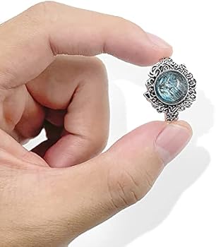 Amazon.co.jp: [小さな店] ラニ 指輪 エルデンリング リング 魔女ラニ