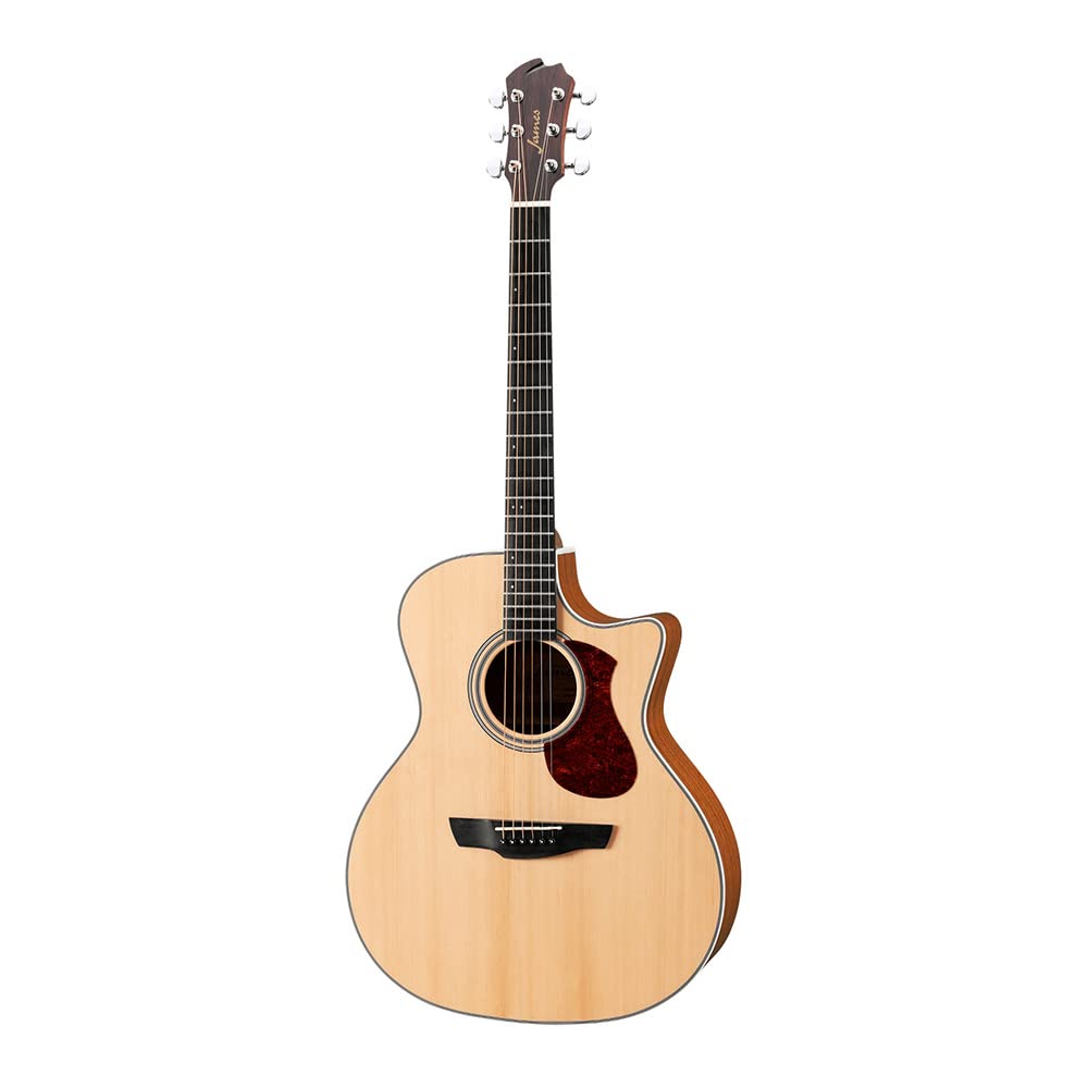 James J-300C11 SINT アコースティックギター James J-300C11 SINT