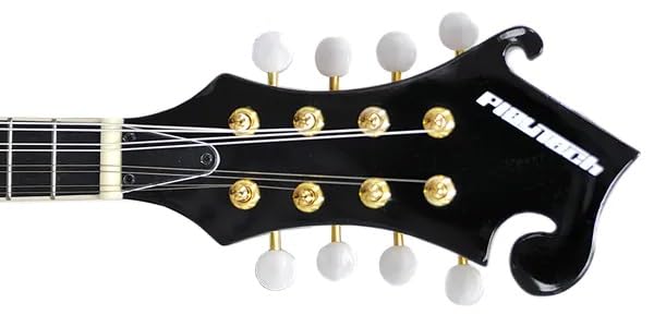 フラットマンドリン ケース コード付き 希少美品』Mylowe フラット