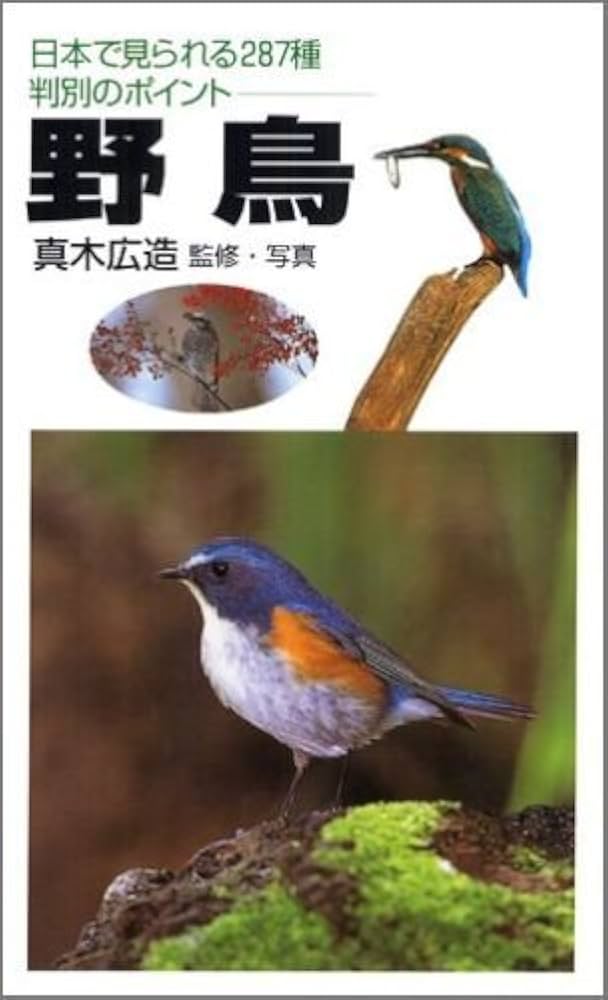野鳥: 日本で見られる287種判別のポイント | 真木 広造 |本 | 通販