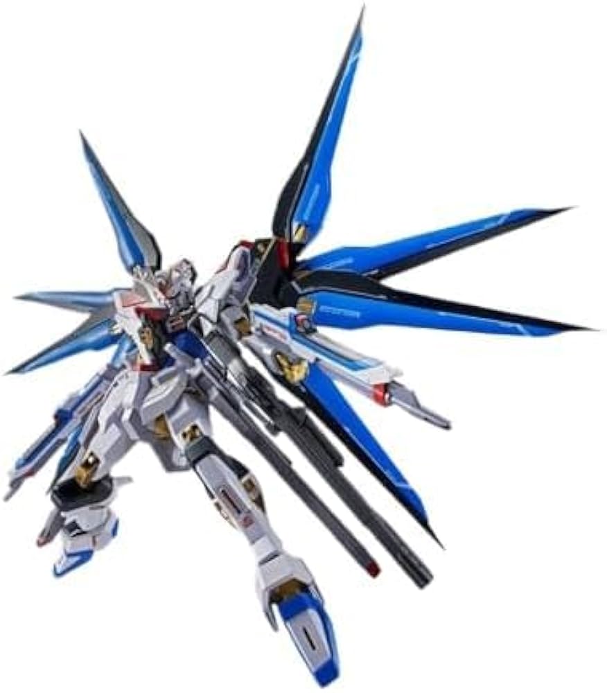 Amazon.co.jp: METAL ROBOT魂 ＜SIDE MS＞ストライクフリーダム ガ ン