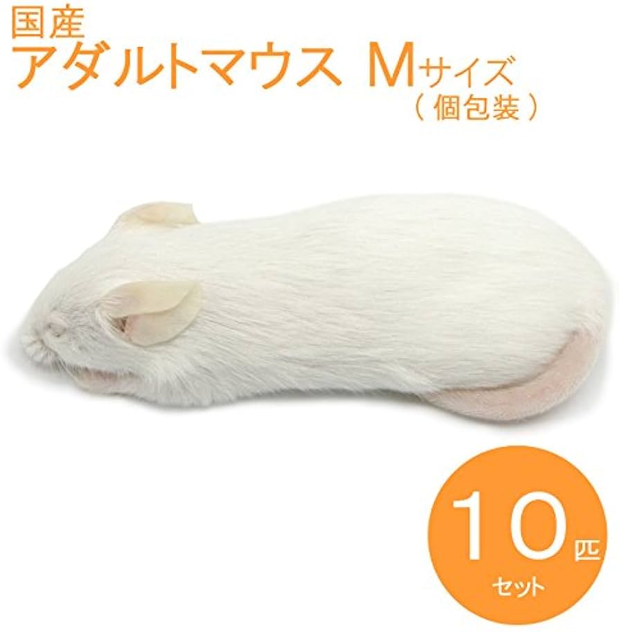 送料無料 冷凍マウスアダルトM100匹 【公式通販】