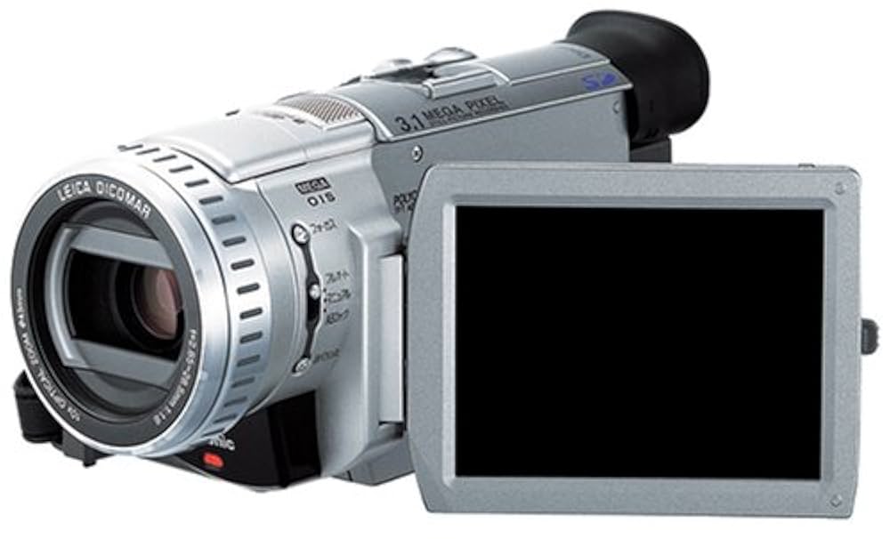 撮影再生ダビングOK Panasonic NV-GS100 ☆付属品多数☆大画面 撮影再生