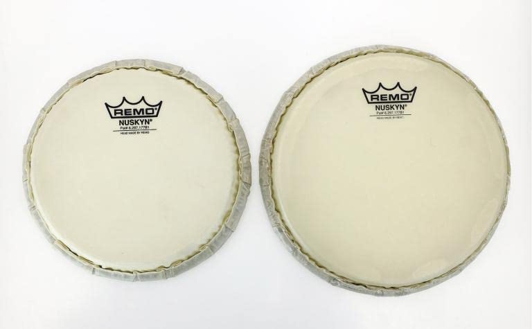 Amazon.co.jp: Pearl ホワイトウッド・ボンゴ レモ・ニュースキン