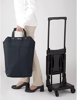 s*i様 SWANY D-622 キャリーカート オリーブ SWANY（スワニー） 【公式