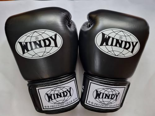 ボクシンググローブ windy 8」の人気商品一覧 | 安い商品を通販サイト