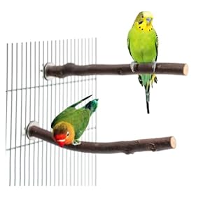 maona 鳥用品 止まり木 カクタス スケルトン パーチ 2本おまとめ maona