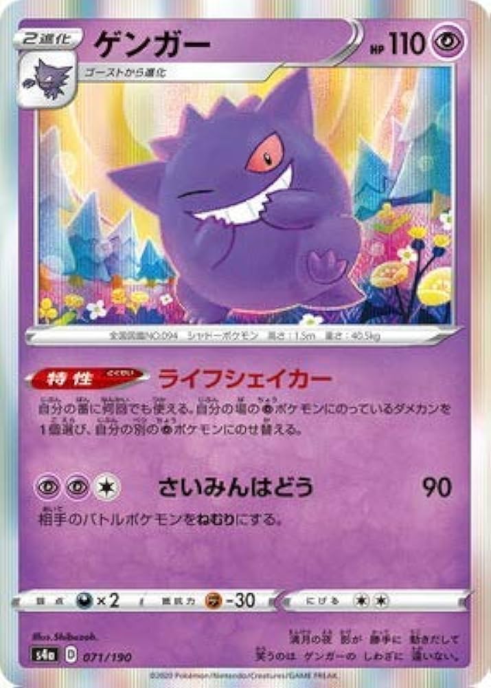 ポケモンカード カードダス ファイル ミュウツー ゲンガー ブイズ