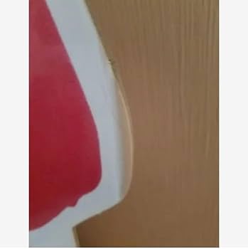 Amazon.co.jp: 松浦亜弥 等身大パネル (SUZUKI) 品 : おもちゃ