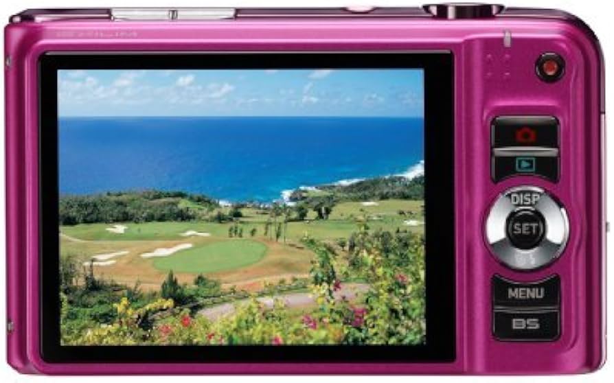 Casio EXILIM EX-H10 Digital Camera (12 Megapixels, 10 times opt