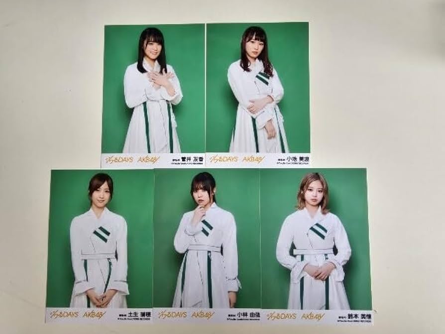 欅坂46 鈴本美愉 生写真 コンプ 41種 欅坂46 鈴本美愉 生写真 コンプ