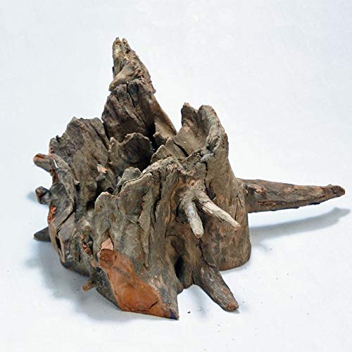 n1アク抜き済み流木 爬虫類シェルター テラリウム インテリア エア