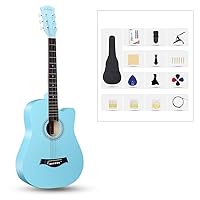 Ashton Acoustic Guitar アクアブルーアコギ 初心者に最適 Ashton