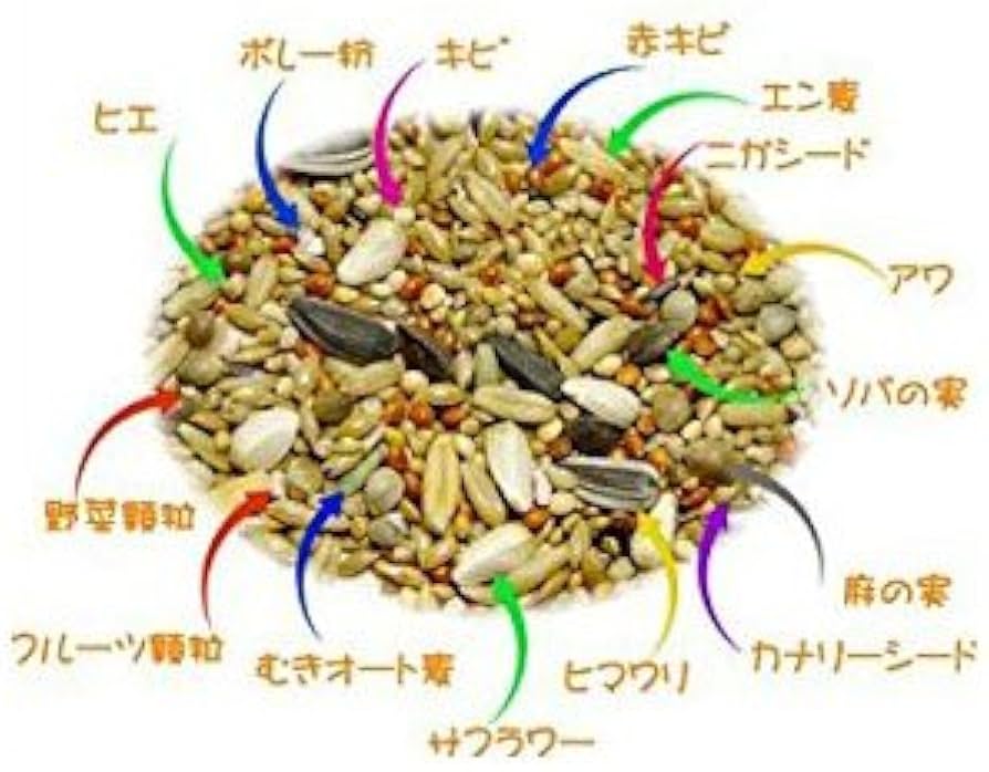 Amazon | 黒瀬ペットフード プロショップ専用 mania (マニア) 中型