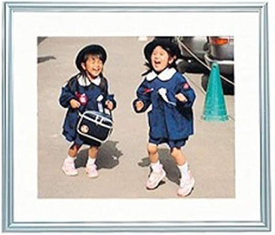 Amazon | FUJICOLOR 額縁 A13 [ 無反射ガラス ] 全紙 アルミ シルバー