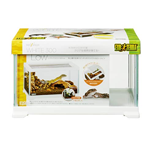 エキゾテラ レプテリアホワイト300Low 4個セット レプタイルディッシュ