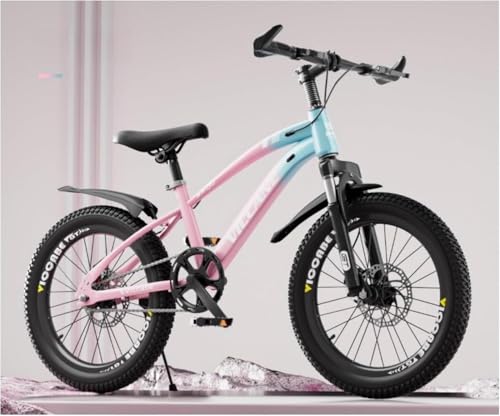 子供用 自転車 BMW マウンテンバイク 20インチ 6段変速 キッズ