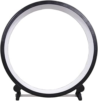 Amazon | One Fast Cat [ALLFORWAN'sLIFE] インタラクティブおもちゃ