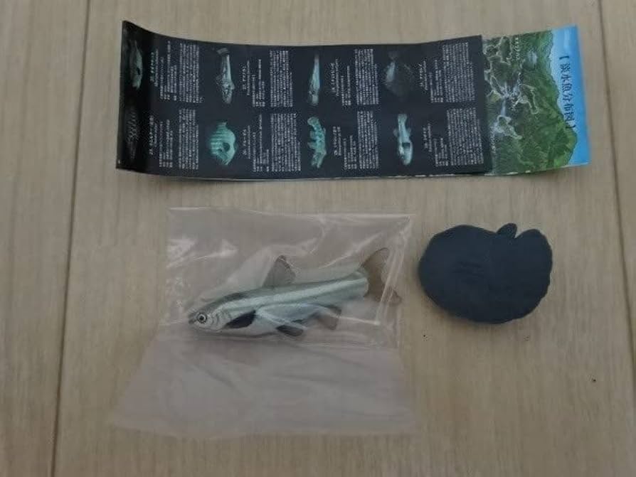 Amazon.co.jp: 原色淡水魚図鑑 Ⅱ 改訂版 ホンモロコ フィギュア