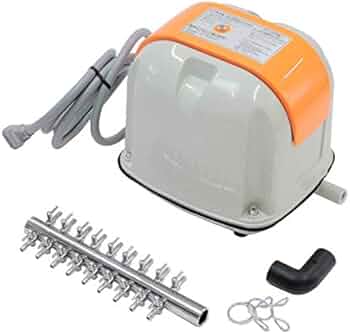 41XkSLHxKJL._AC_UF350,