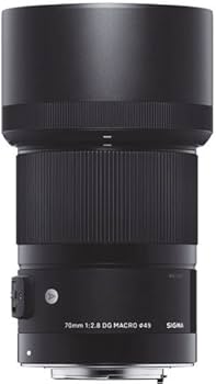 Amazon.com : Sigma 70mm F2.8 Art DG Macro for Canon : Electronics