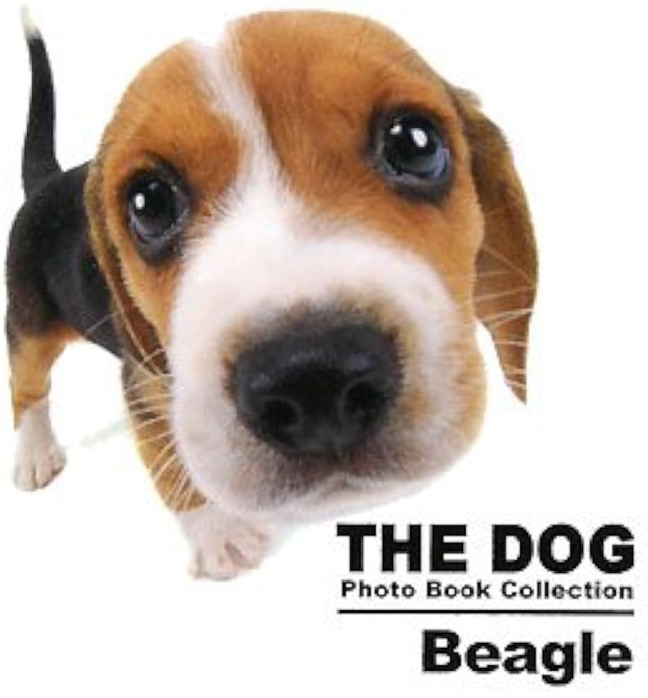 THE DOG Photo Book Collection Beagle (THE DOG Photo Book