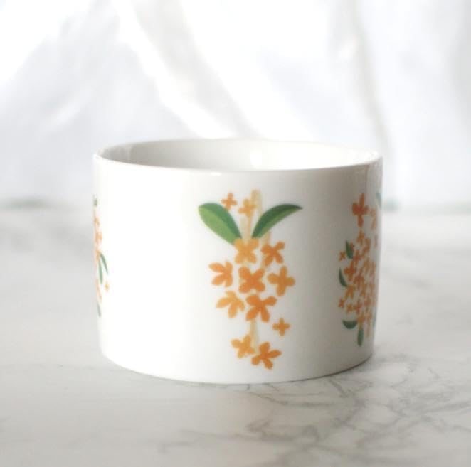 古伊万里 赤絵草花文様急須 アンティーク ティーポット 桐箱付 江戸