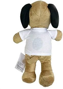 41ZoFRuKuHL._AC_UF350,