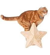 Amazon.co.jp: MYZOO LUNA キャットステップ パイン材 キャットタワー