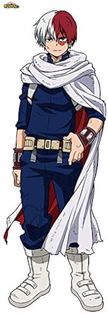 Amazon.co.jp: 僕のヒーローアカデミア 轟焦凍 等身大タペストリー 3