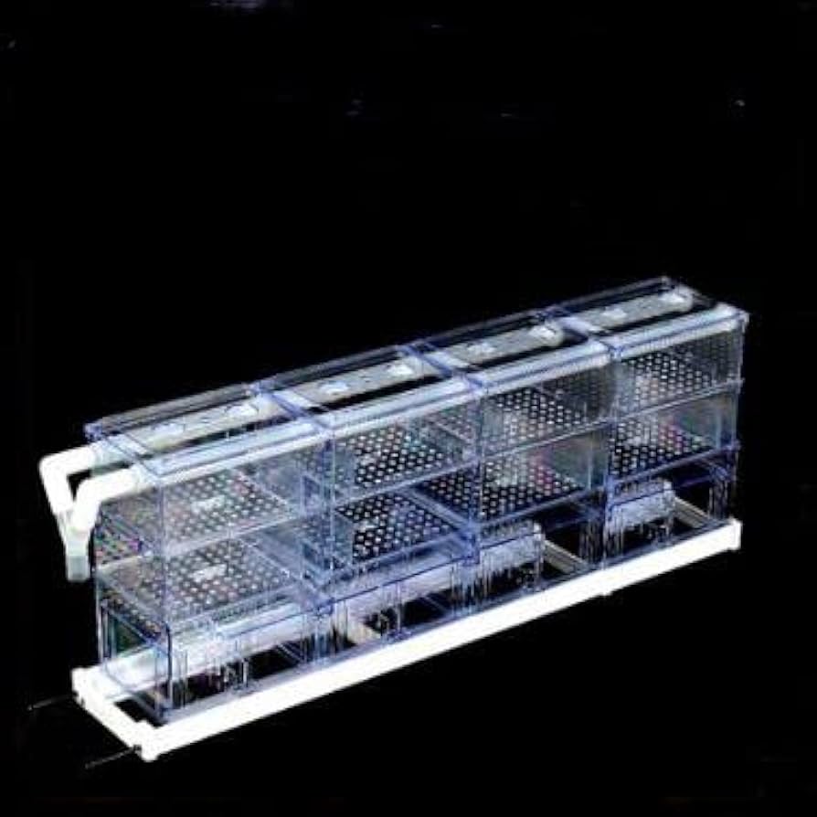 900上部フィルター。上部濾過