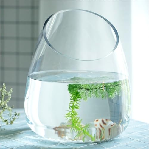 テラリウム 瓶」の人気商品一覧 | 安い商品を通販サイトから探す