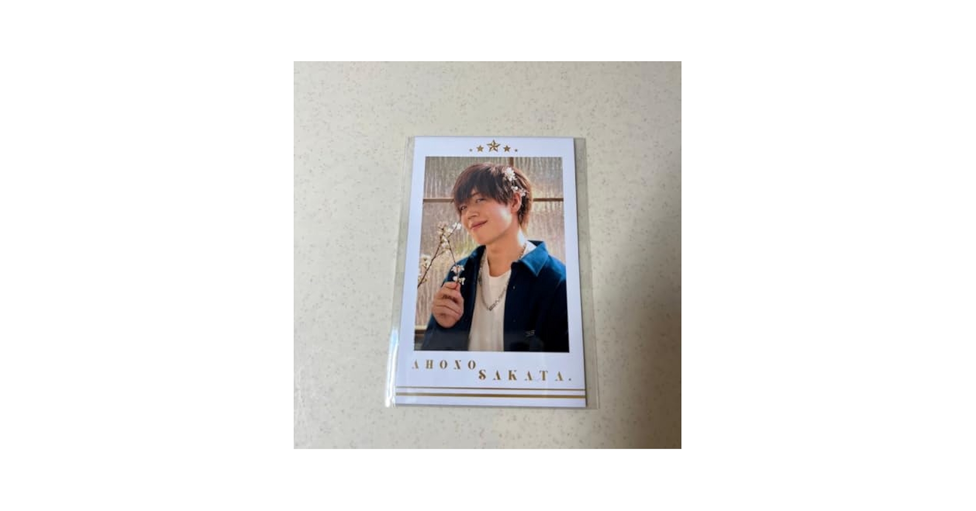 あほの坂田。となりの坂田。さかわん 坂田くじチェキ風カード F 坂田