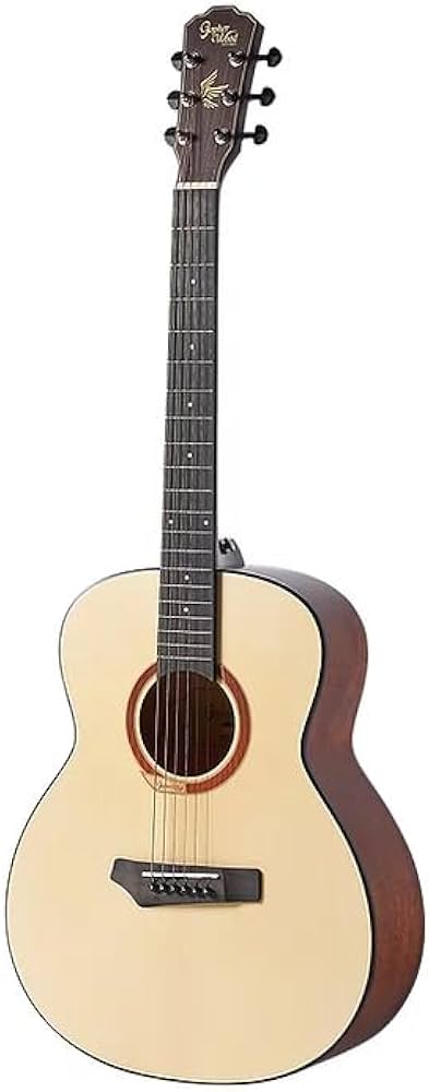 Amazon | Gopher Wood Guitars i110 アコースティックギター OOOサイズ