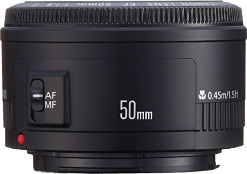 楽しい！キヤノンの激安レンズEF 50mmF1.8 IIレビューと作例たち - studio9