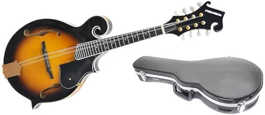 希少美品』Mylowe フラットマンドリン ハードケース付き 希少美品