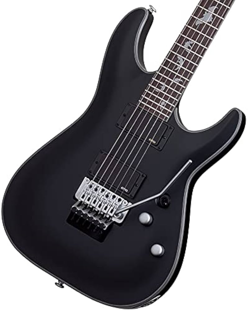 Amazon | SCHECTER シェクター エレキギター DAMIEN PLATINUM-6 FR SBK