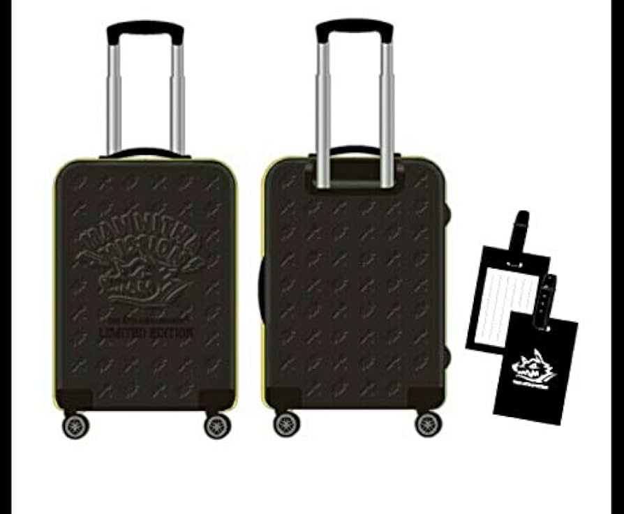 マンウィズスーツケース