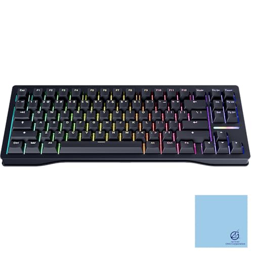 オンライン 公式正規品 wooting60he＋ Wooting(ウーティング) 60HE+