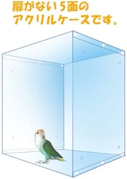 Amazon | BIRDMORE アクリルケージケースSLIM・扉なしM / 35オウム・35
