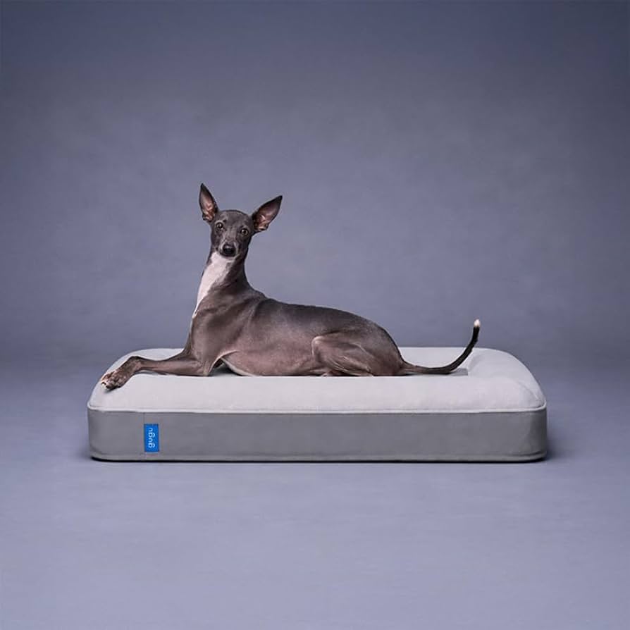 Amazon | グーグースリープ 犬 ペット ベッド スモール グレー gugu